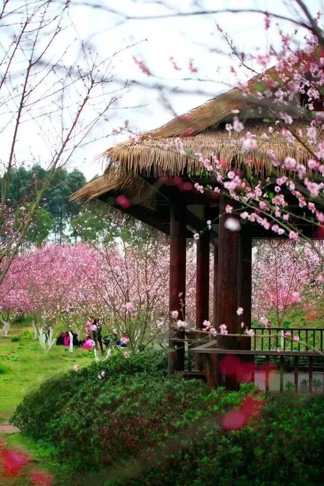 全球最受欢迎的10个美剧排名，《绝命毒师》只能排第七