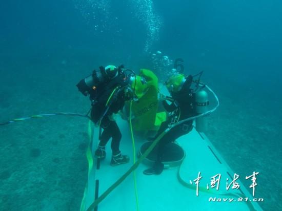 养狗如果不是用来玩的，那将毫无乐趣……