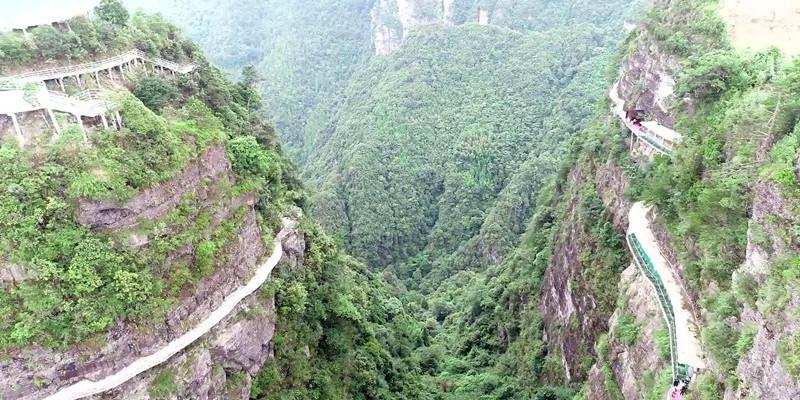 “英山云雾茶”品牌整合大会举行